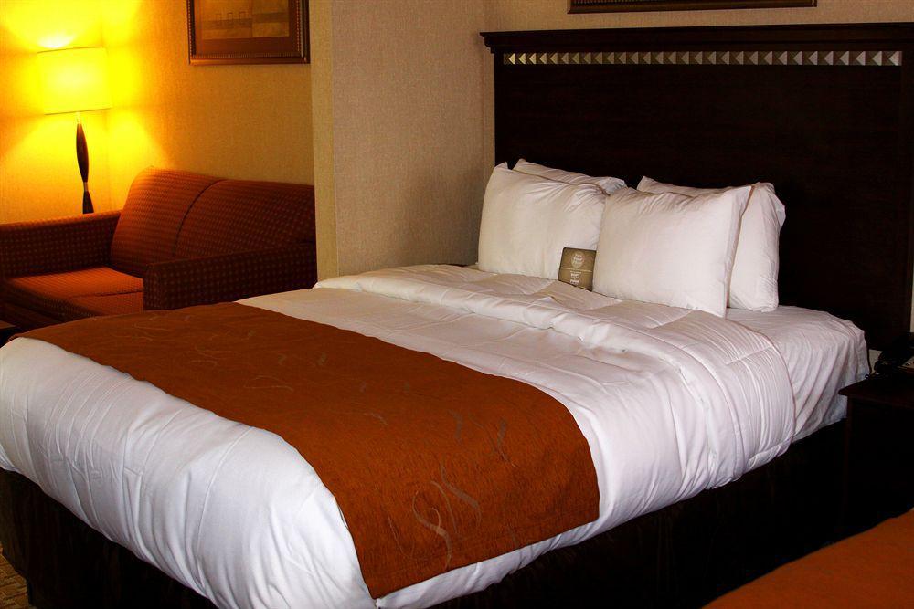 คอมฟอร์ต สวีท คอนเวย์ อีสต์ Hotel ภายนอก รูปภาพ
